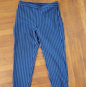 Banana Republic Hayden Pants Striped Petite